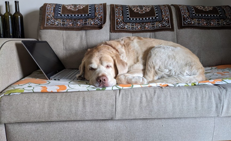 The Other Side of a 70-hour Work&nbsp;Week