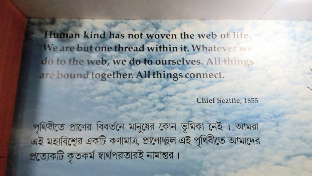 The Other Side of Dreaming&nbsp;Big