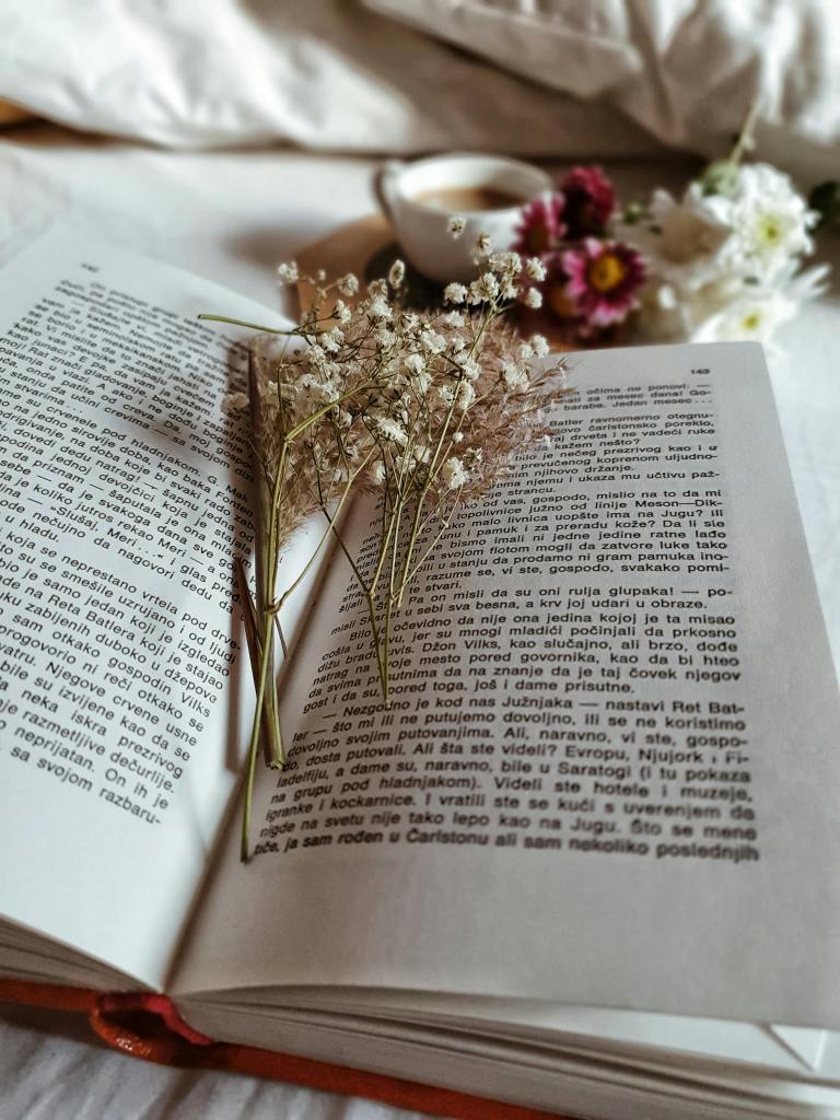 Photo by Ena Marinkovic: https://www.pexels.com/photo/dried-plants-in-opened-book-on-cozy-bed-3643828/